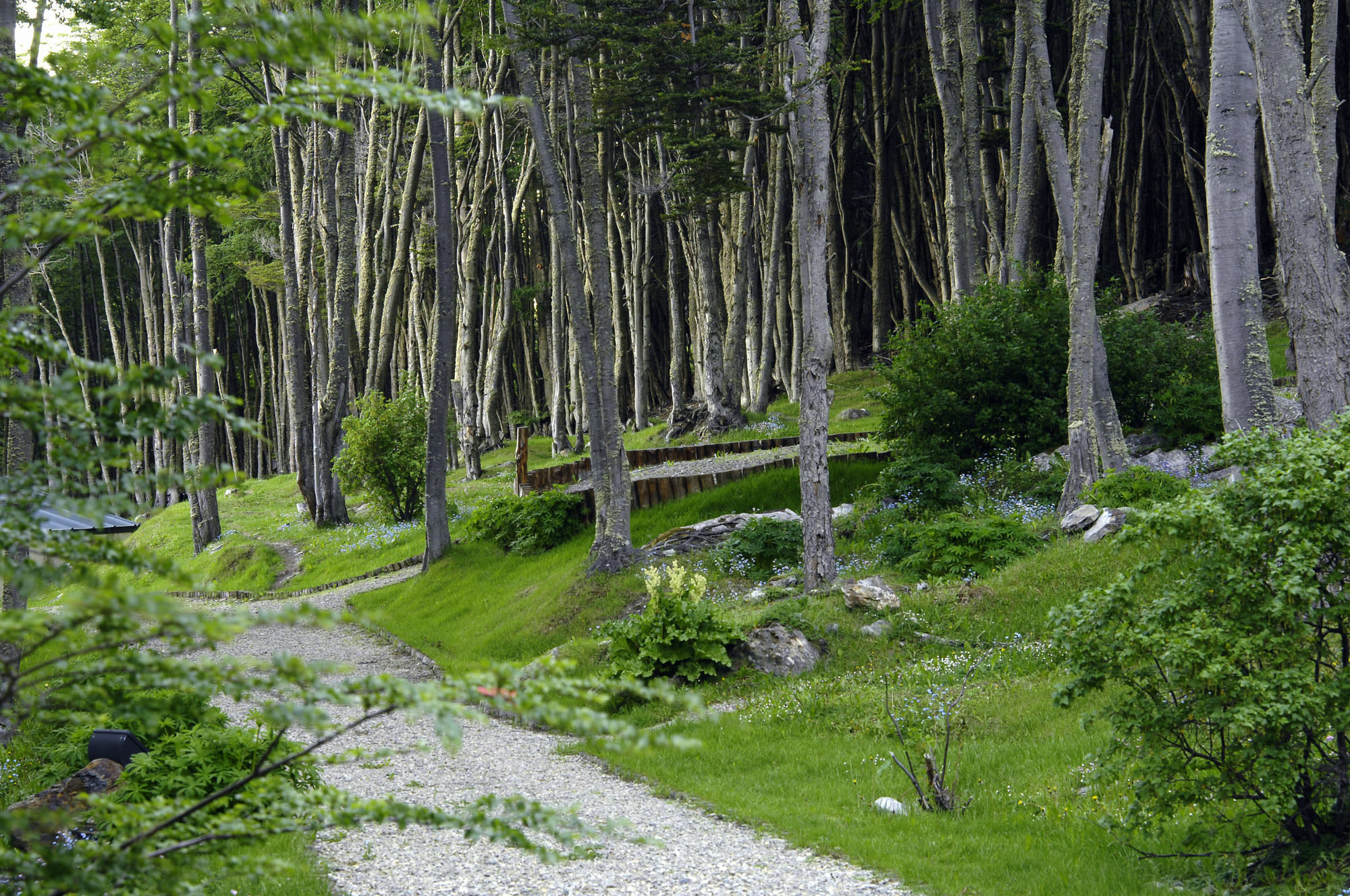 Las Hayas Ushuaia Resort Экстерьер фото